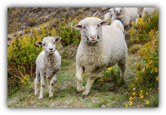 Quilotoa, Ecuador